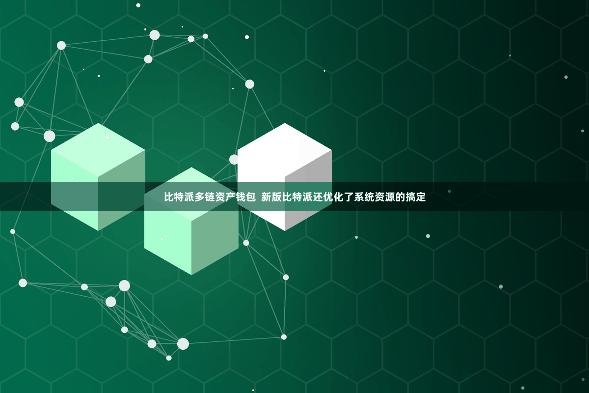 比特派多链资产钱包  新版比特派还优化了系统资源的搞定